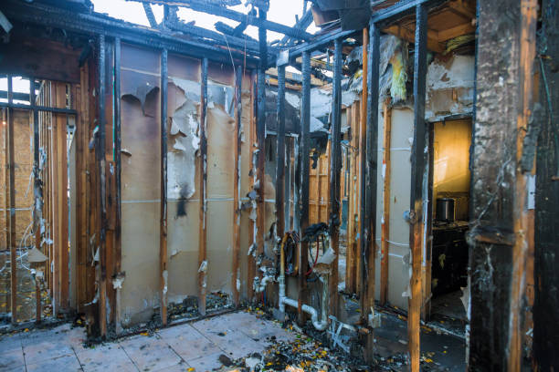 Professional Odor Removal technician working in Ligonier, IN